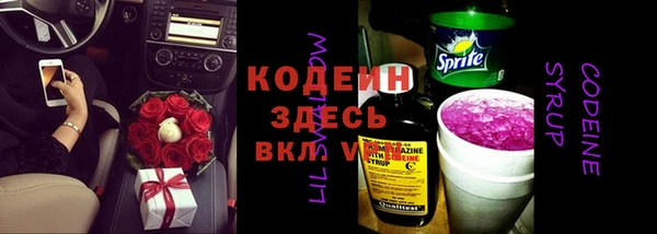 крисы Вяземский