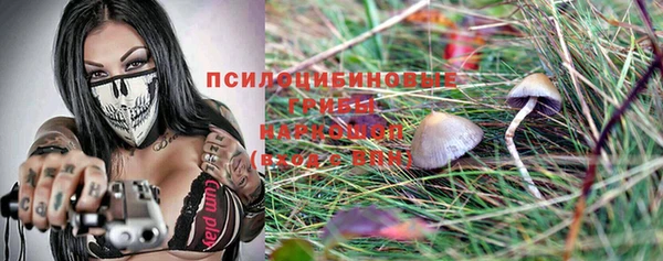 PSILOCYBIN Сатка