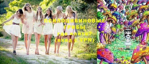твердый Вязники