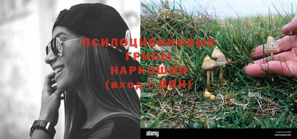крисы Вяземский