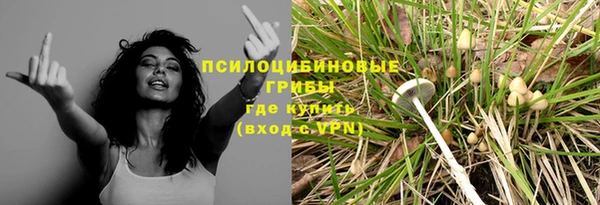 крисы Вяземский