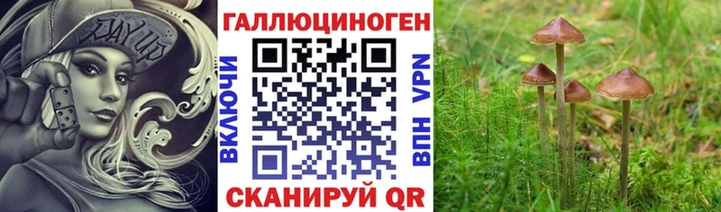 Галлюциногенные грибы Cubensis Зеленокумск